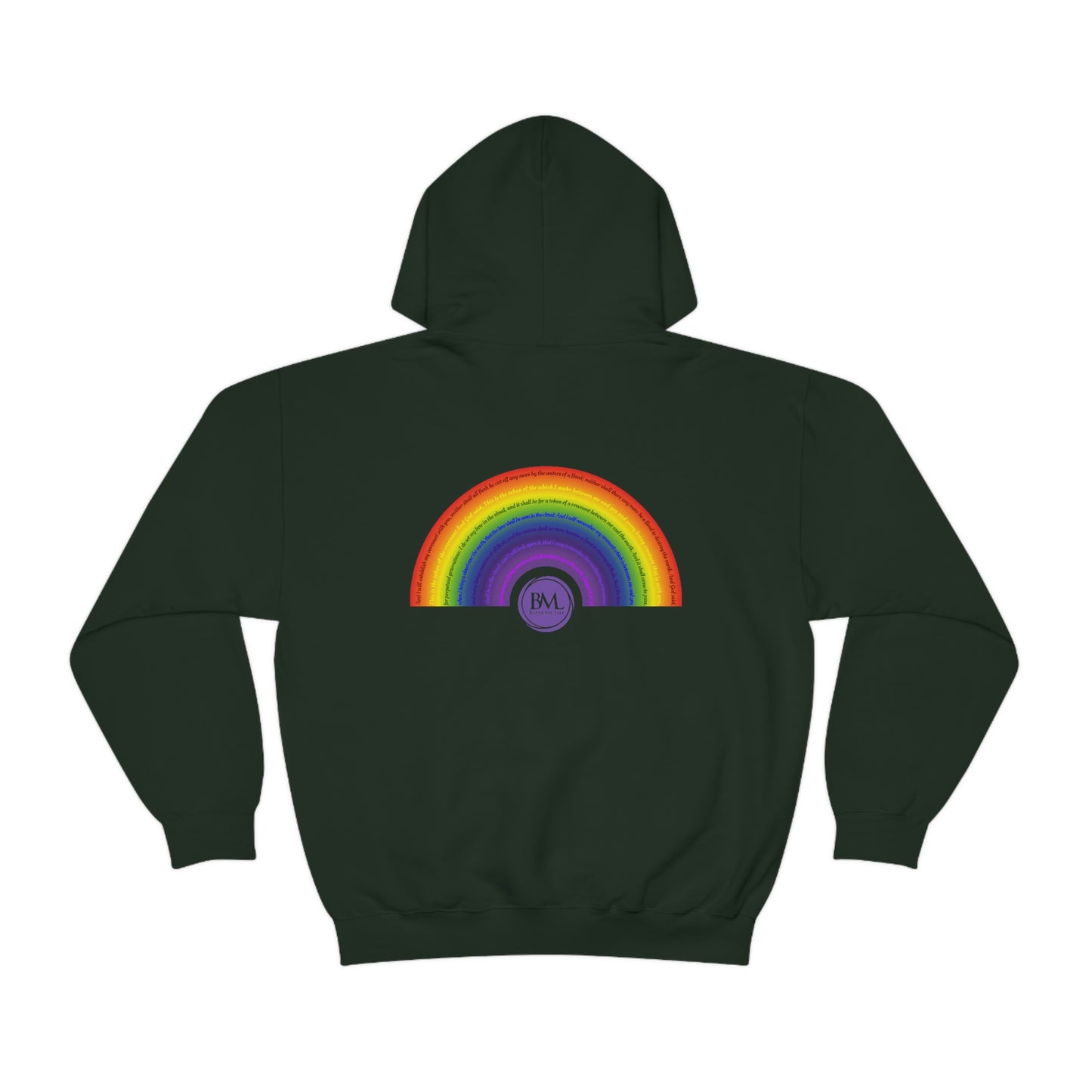 God's covenant in Biblical Scripture & in the form of His bow, A Worldwide Favorite Covenant seeing in the sky by Billions! Unisex Heavy Blend™ Hooded Sweatshirt
