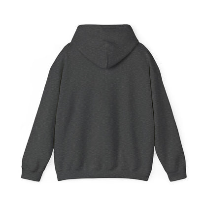 Christian Hoodies | Romans 12:2 | Bless My Life ®