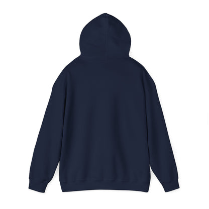 Christian Hoodies | Romans 12:2 | Bless My Life ®