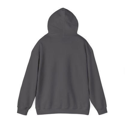 Christian Hoodies | Romans 12:2 | Bless My Life ®