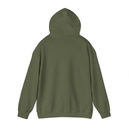 Christian Hoodies | Romans 12:2 | Bless My Life ®