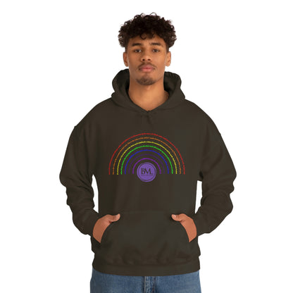 God's covenant in Biblical Scripture & in the form of His bow, the Rainbow. A Worldwide Favorite Covenant seeing in the sky by Billions! Unisex Heavy Blend™ Hooded Sweatshirt