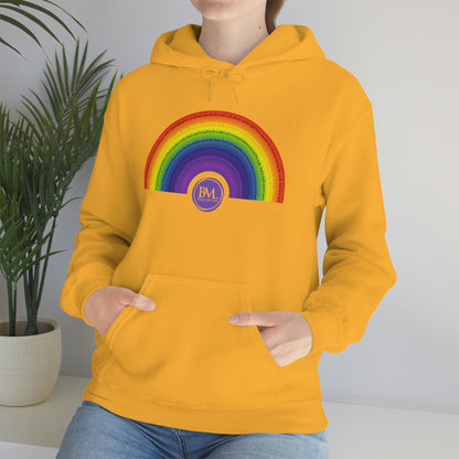 God's covenant in Biblical Scripture & in the form of His bow, A Worldwide Favorite Covenant seeing in the sky by Billions! Unisex Heavy Blend™ Hooded Sweatshirt